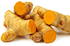 turmeric-roots1.png